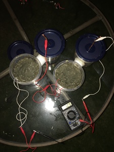 Bild: Bacteria Battery